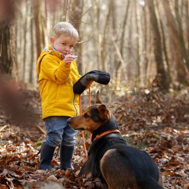 Fotograf-Hannover-Kinderfoto-Junge mit Hund 4